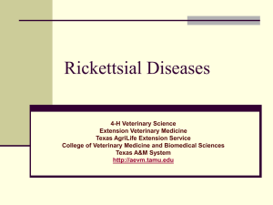 4-H Rickettsial Diseases - Extension Veterinary Medicine