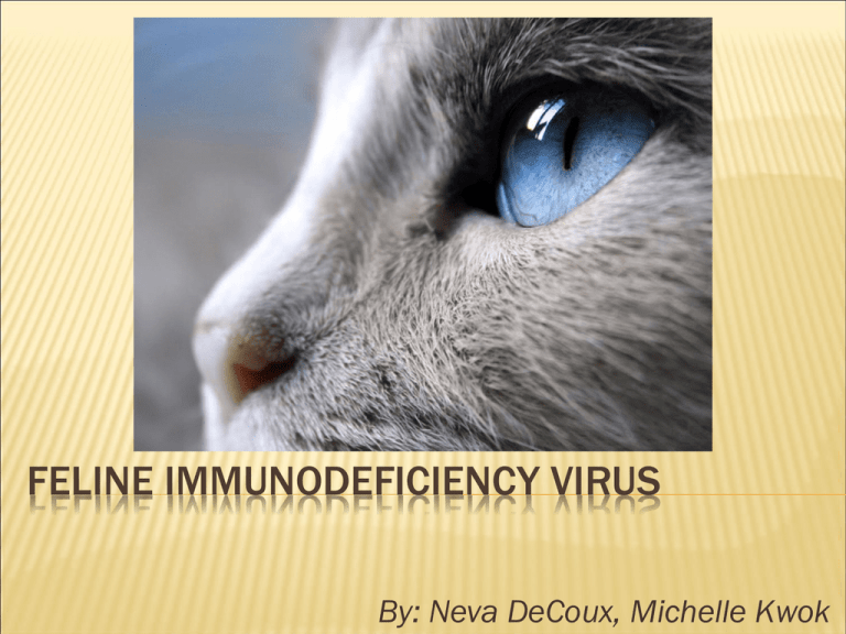 case study on feline immunodeficiency virus