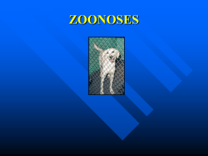 Zoonoses - Wendyblount.com
