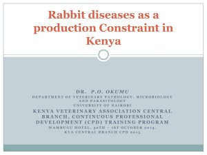 Rabbit diseases as a production constraint In Kenya 1
