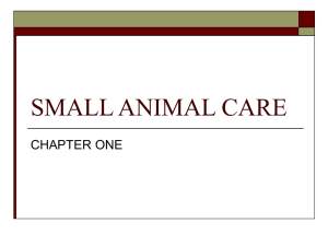 Introduction to Small Animal Care