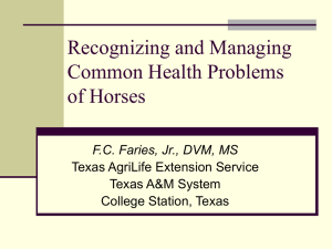 Recognizing and Managing Common Health Problems of Horses