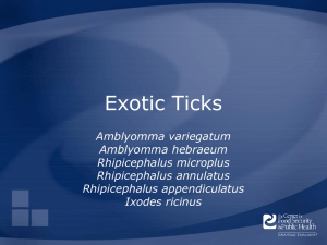 Exotic Ticks - The Center for Food Security and Public Health