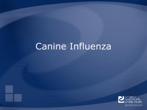 Canine-Influenza - The Center for Food Security and Public Health