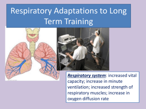 Respiratory Adaptations to Long Term Training