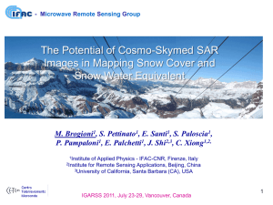 Microwave Remote Sensing Group