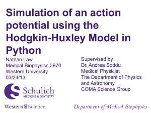 2013 Action Potential Modeling in PYTHON