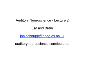 Ear and Brain - Auditory Neuroscience