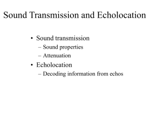 PowerPoint Presentation - Sound Transmission and Echolocation