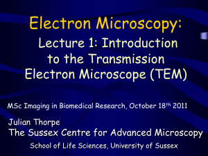 Introduction to TEM - School of Life Sciences