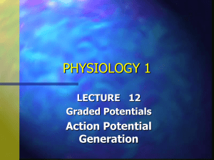 Action Potential Generation