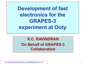 ppt - grapes-3