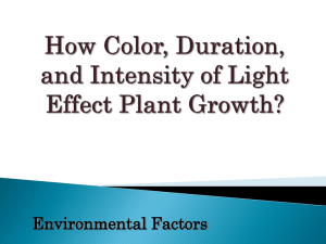 How Light Effects Plant Growth