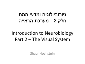 ניורוביולוגיה ומדעי המח Introduction to Neurobiology
