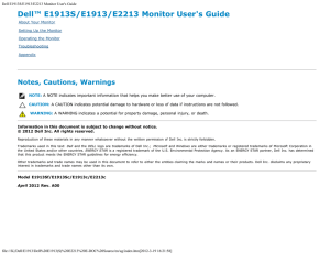 Dell E1913S/E1913/E2213 Monitor User`s Guide