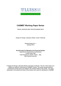 CASMEF Working Paper Series