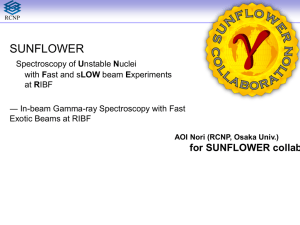 In-beam Gamma-ray Spectroscopy with Fast Exotic Beams at RIBF