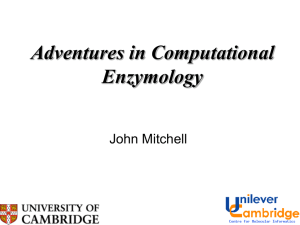 Adventures in Computational Enzymology