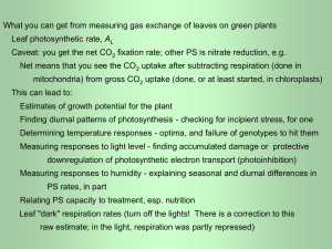 Gas Exchange ppt
