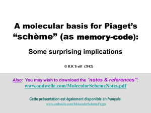 A molecular basis for Piaget`s “schème - Ondwelle Home-page