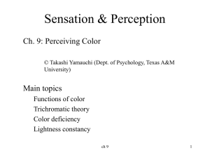 Ch 9 Perceiving color