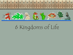 6 Kingdoms