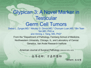 Glypican 3: A Novel Marker in Testicular Germ Cell Tumors Debra L