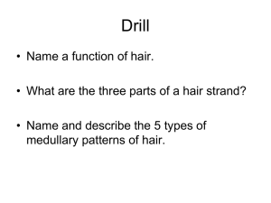 Chapter 3 The Study of Hair, Hair Analysis