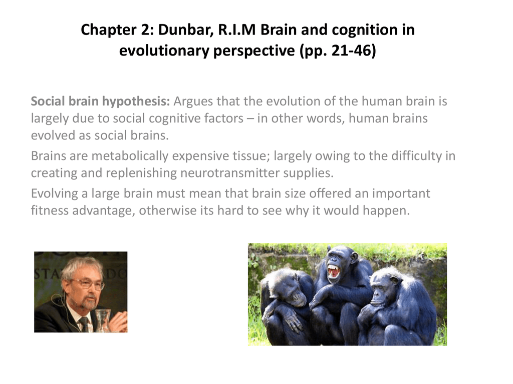 what is a critique of the social brain hypothesis