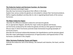 The Endocrine System and Hormone Function--An