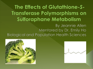 The Effect of GST Polymorphisms on Sulforaphane