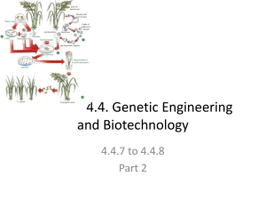 Genetic_Engineering_part_2[1]