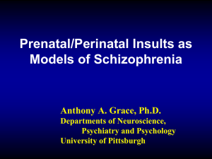 Anthony Grace: Prenatal/Perinatal Insults as Models of