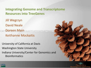 Integrating genome and transcriptome resources into the TreeGenes