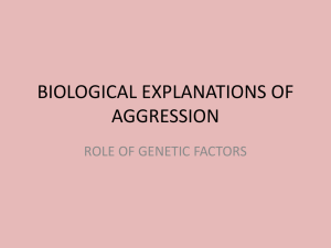 biological explanations of aggression