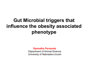 Metatranscriptomic analysis of the Gut microbial community