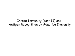 Innate Immunity (part II) and Antigen Recognition by Adaptive