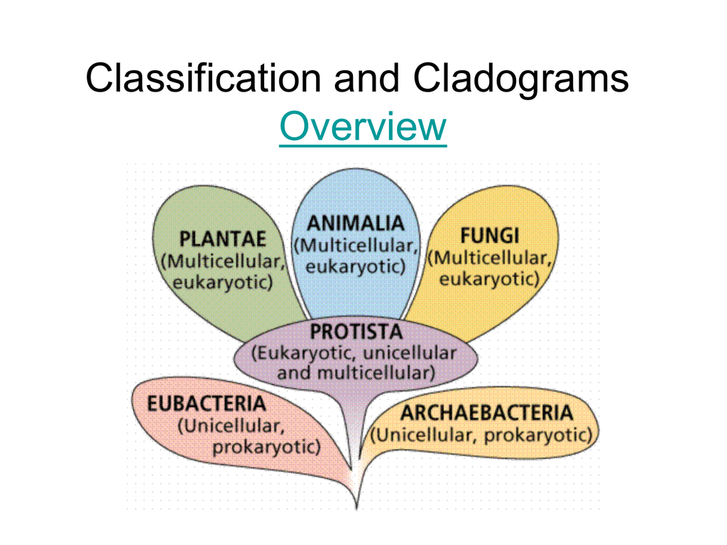 biological-classification-worksheet-answer-key