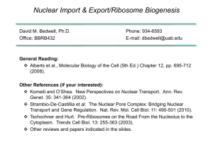 Nuclear Transport/Ribo Biogenesis