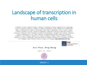 Landscape of transcription in human cells