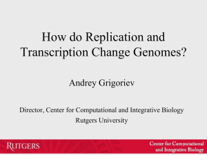 How do Replication and Transcription Change Genomes