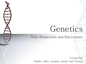 Genetics Presentation