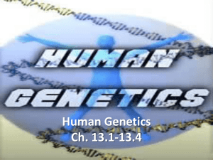 Human Genetics (website)