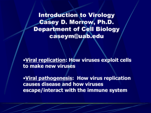 Introduction to Virology David C. Ansardi, Ph.D. Department of Cell