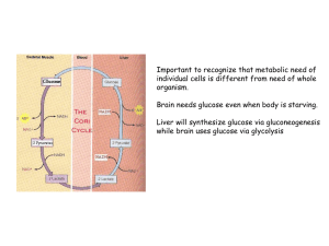 Prof. Kamakaka`s Lecture 14 Notes (PPT)