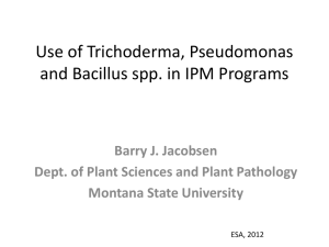 Use of Trichoderma, Pseudomonas and Bacillus spp. in