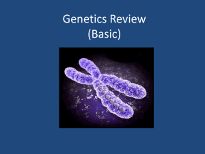 Genetics Review (Basic)
