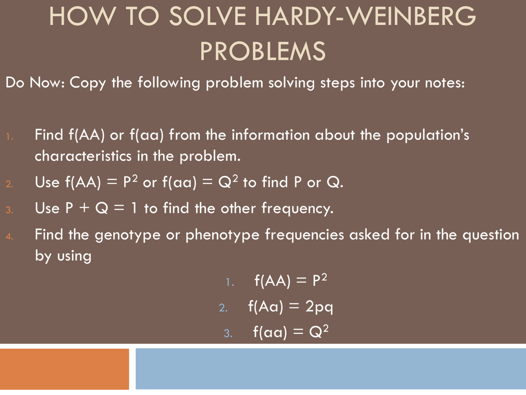 solving hardy weinberg problems bozeman science