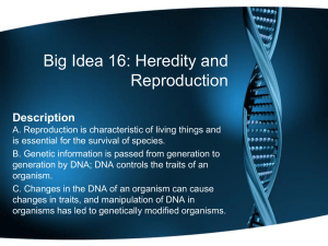 Big Idea 16 : Heredity and Reproduction