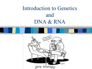 Genetics/DNA PowerPoint